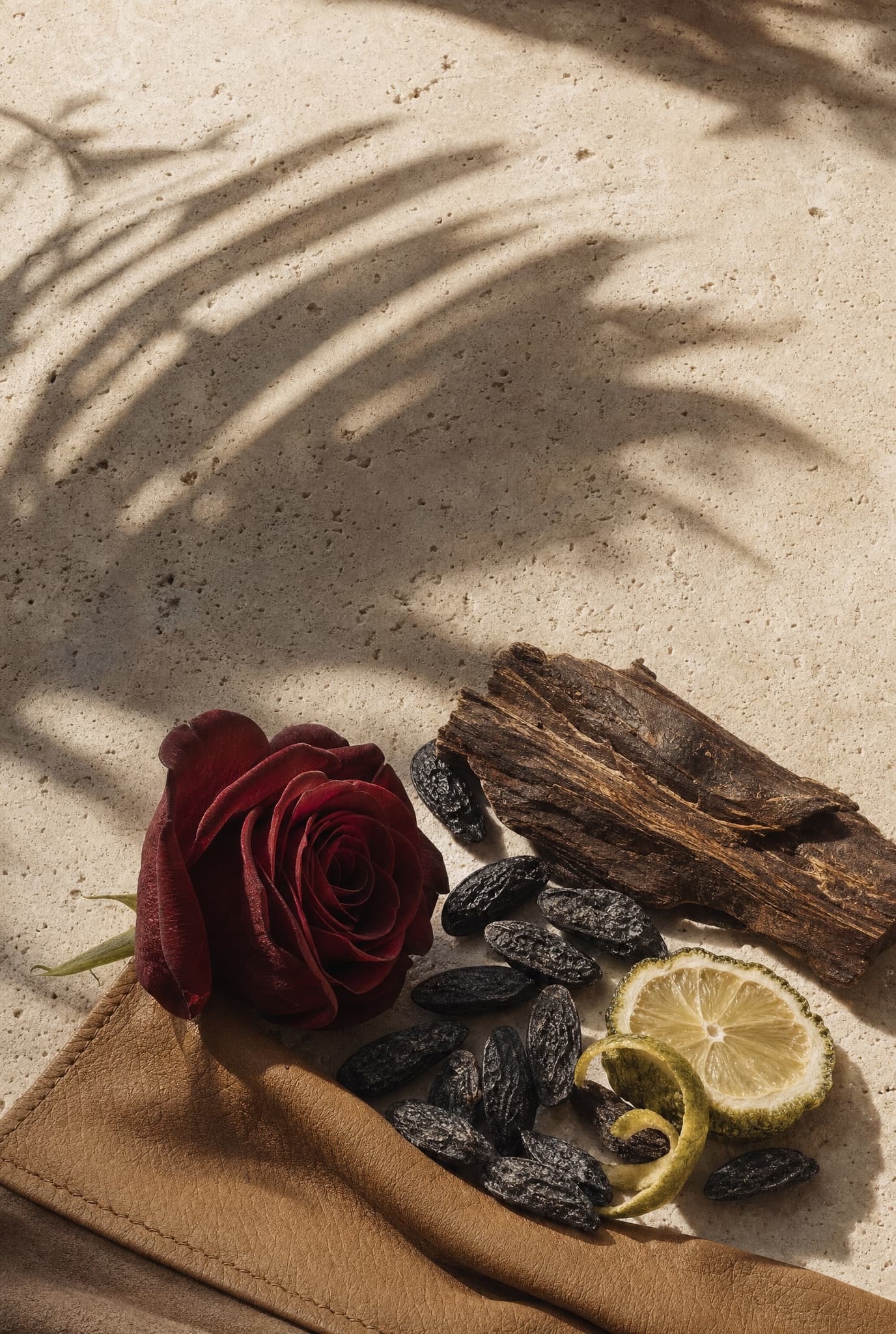 GRATIA, detalle 1